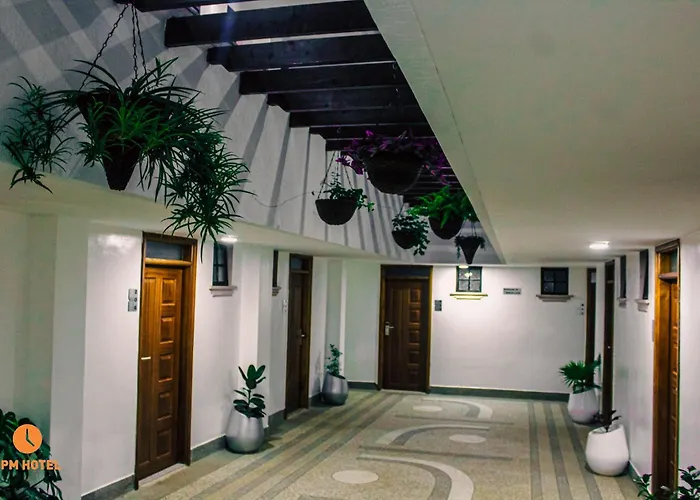Hotel: 5 Pm Hotel